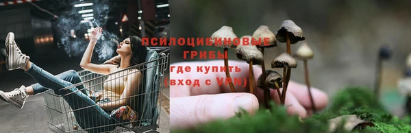 твердый Вязьма