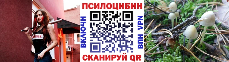 Галлюциногенные грибы Psilocybe  blacksprut   Курганинск 